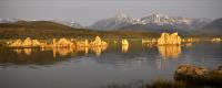 Mono Lake�